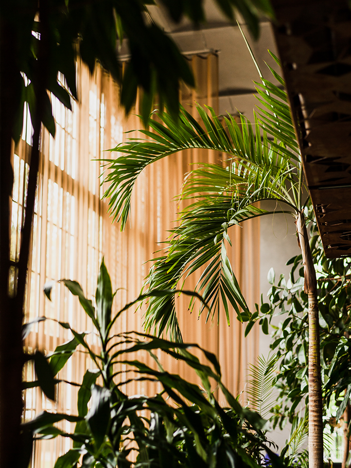 Nowa Oranżeria Łazienki Królewskie