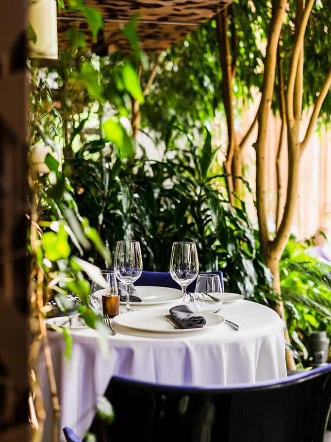 Nowa Oranżeria Łazienki Królewskie