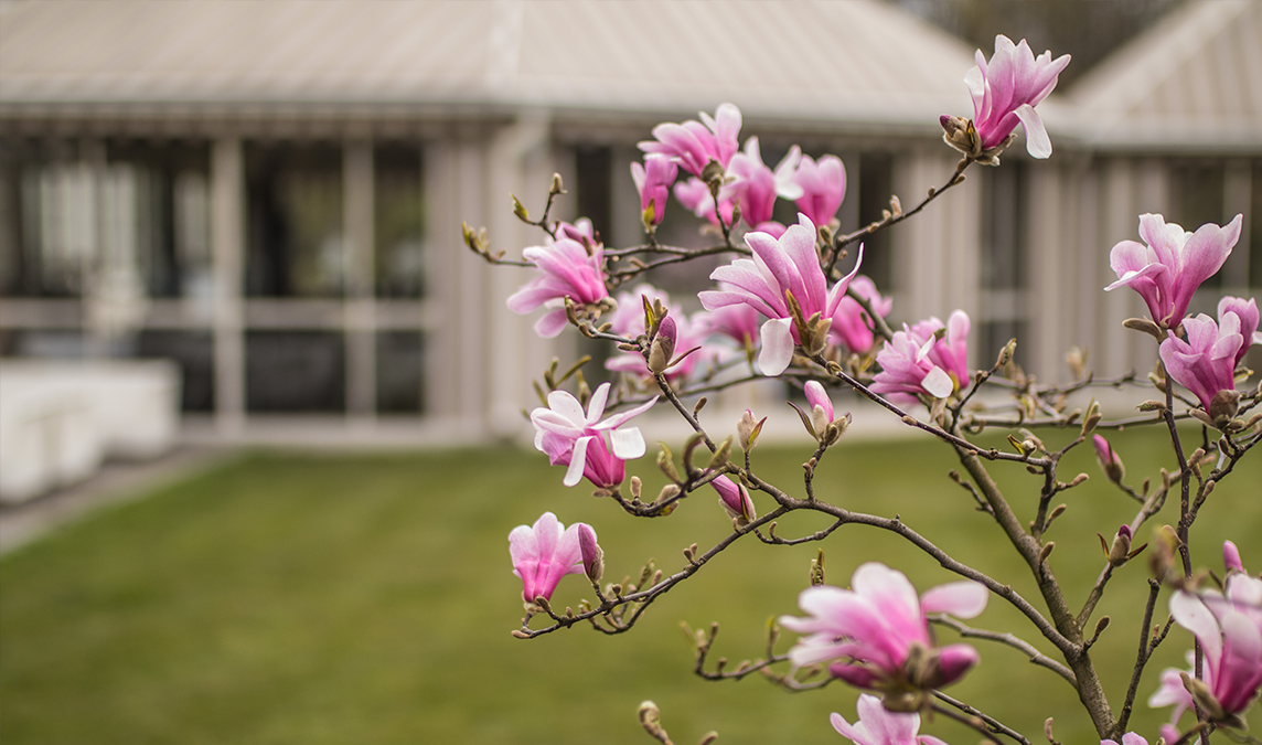 Plateau Restauracja Belvedere